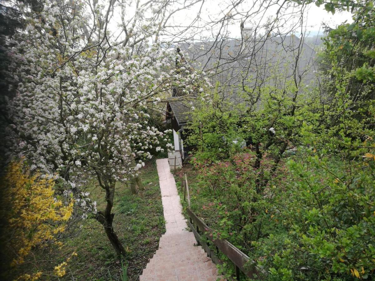 Sunset House Piestany Cervena Veza Apartamento Banka Exterior foto